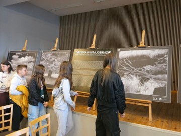 Wystawa „Drzewa Województwa Łódzkiego” autorstwa Piotra Wypycha, 